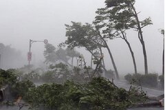 Bão số 6 gây mưa to đến rất to từ Quảng Trị đến Bình Định