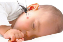 Mách mẹ mẹo đuổi muỗi và cách trị nốt muỗi đốt nhanh và hiệu quả cho trẻ nhỏ
