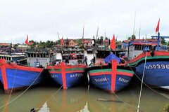 Bão số 8 suy yếu thành áp thấp nhiệt đới