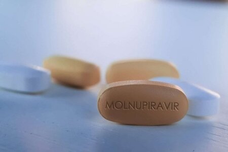 Những lưu y cần biết khi dùng thuốc Molnupiravir điều trị Covid-19