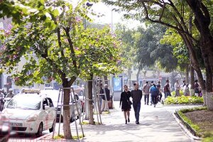 Tin thời tiết 9/3: Bắc bộ tăng nhiệt, có nơi trên 28 độ