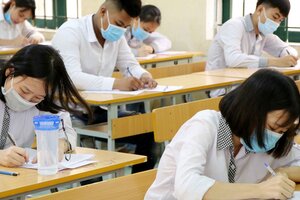 Ninh Bình: 248 thí sinh đoạt giải tại Kỳ thi chọn học sinh giỏi lớp 12