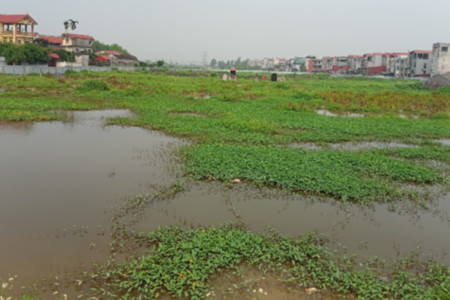 Bắc Ninh: Dự án chưa triển khai, Công ty TNHH Hóa dệt Hà Tây đã vay vốn người dân
