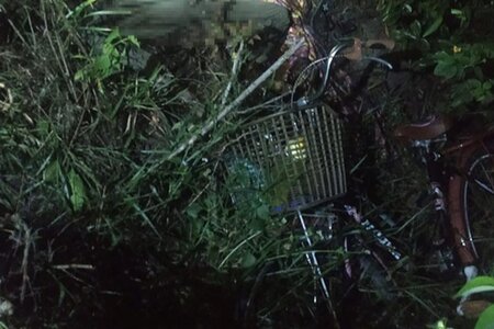 Phát hiện thi thể người phụ nữ đang phân hủy gần sân bay Chu Lai
