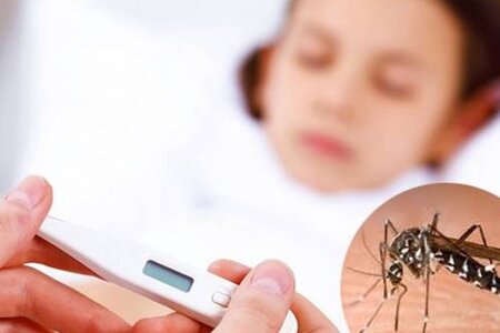 Các triệu chứng thường gặp khi trẻ bị sốt xuất huyết