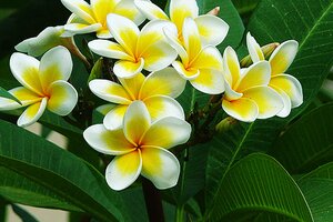 Tử vi 12 cung hoàng đạo 13/7/2022: Bảo Bình phải biết tôn trọng cảm xúc của mình