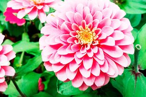 Tử vi 12 cung hoàng đạo 14/7/2022: Bảo Bình là người dễ bị tổn thương