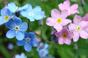 Tử vi 12 cung hoàng đạo 21/7/2022: Chuyện tình yêu của Cự Giải sẽ thăng hoa