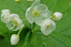 Tử vi 12 cung hoàng đạo 23/8: Xử Nữ trở nên nhạy cảm hơn rất nhiều