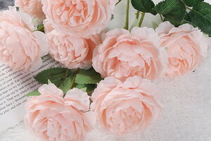 Tử vi 12 cung hoàng đạo 25/8: Bảo Bình là người mơ mộng một cách viển vông