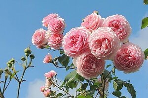 Tử vi 12 cung hoàng đạo 8/9: Song Ngư đang có cảm giác bất an