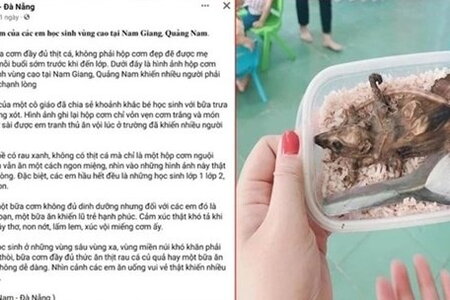 Quảng Nam bác bỏ thông tin học sinh phải ăn cơm với thịt chuột
