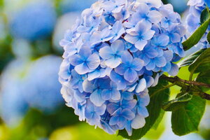 Tử vi 12 cung hoàng đạo 20/9: Kim Ngưu có một ngày thoải mái