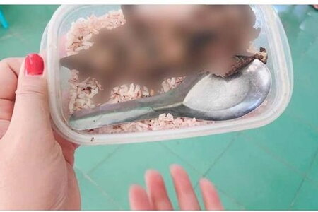 Quảng Nam mời người đăng bức ảnh 'học sinh ăn cơm với thịt chuột' lên làm việc