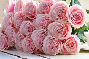 Tử vi 12 cung hoàng đạo 8/10: Nhân Mã trở nên bận rộn