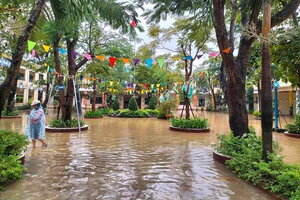 29 trường học ở Đà Nẵng cho học sinh nghỉ học vì mưa lớn gây ngập úng