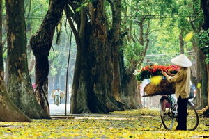 Tin thời tiết 11/10: Bắc Bộ sáng sớm lạnh, Trung bộ tiếp tục có mưa