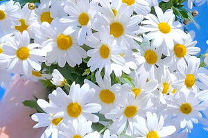 Tử vi 12 cung hoàng đạo 25/10: Cự Giải luôn được mọi người yêu quý