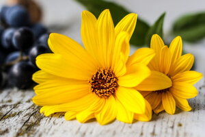 Tử vi 12 cung hoàng đạo 25/11: Bảo Bình có cái nhìn hoàn toàn mới