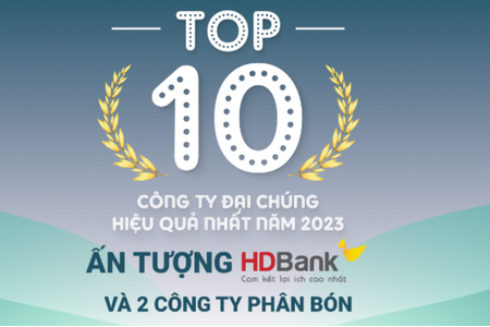 TOP 10 công ty đại chúng hiệu quả nhất năm 2023:  Ấn tượng HDBank, Đạm Phú Mỹ và Hóa dầu Đức Giang