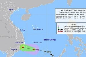 Bộ trưởng Bộ Giáo dục và Đào tạo gửi công điện ứng phó với mưa lũ do áp thấp nhiệt đới