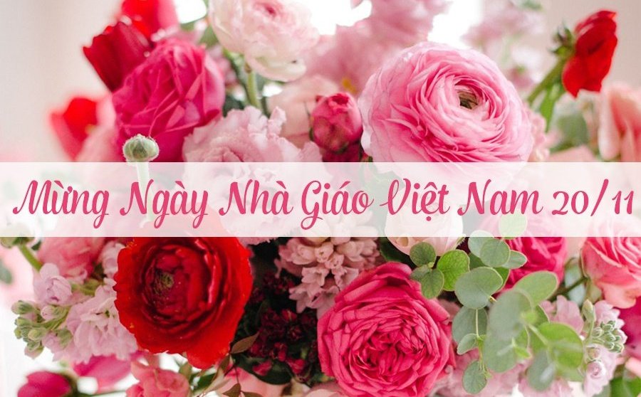 Nguồn gốc, ý nghĩa của ngày Nhà giáo Việt Nam 20/11