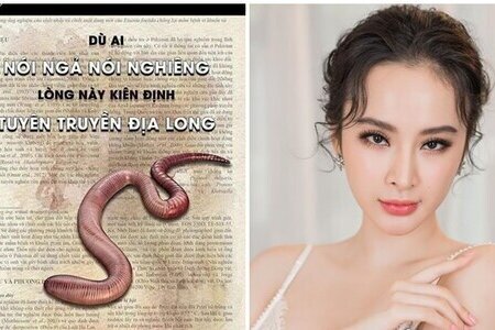 Angela Phương Trinh vẫn tuyên truyền địa long dù mới bị xử phạt 