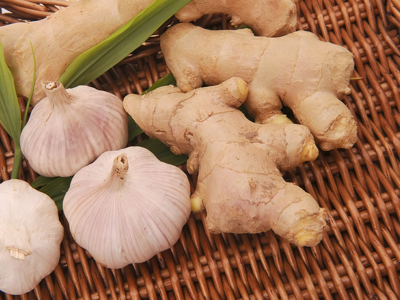 Sốt cao nên ăn gì