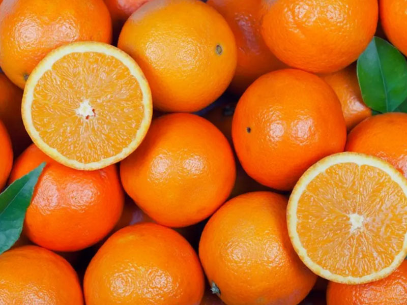 Sốt cao nên ăn gì