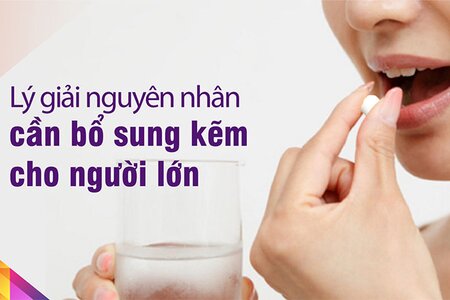 Lý giải nguyên nhân cần bổ sung kẽm cho người lớn