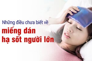 Những điều chưa biết về miếng dán hạ sốt người lớn
