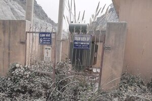 Khách hàng khởi kiện Tổng Công ty bảo hiểm Bưu điện