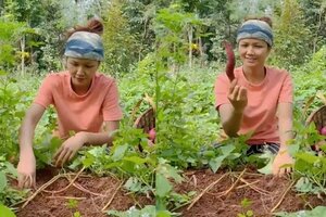 Hoa hậu H'Hen Niê khoe khoảnh khắc bình yên ở quê nhà Đắk Lắk