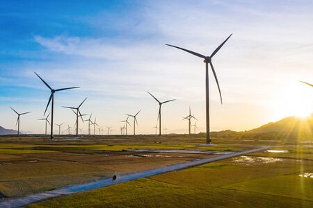 Bầu Hiển muốn làm dự án điện gió 7.370 tỷ đồng tại Lạng Sơn