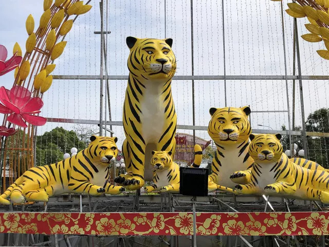 Di dời 5 bức tượng hổ dị dang ra khỏi vườn hoa quảng trường thị xã Phú Thọ