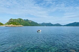 Công ty diễn viên Chi Bảo thuê 120 ha môi trường rừng Côn Đảo làm du lịch sinh thái