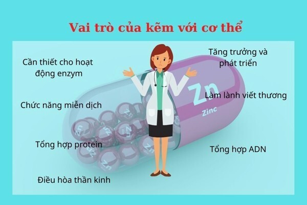 bổ sung kẽm trong bao lâu