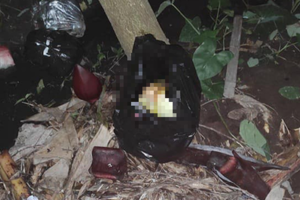 Bé trai sơ sinh bị bỏ rơi ngoài vườn chuối trong thời tiết lạnh 10 độ C