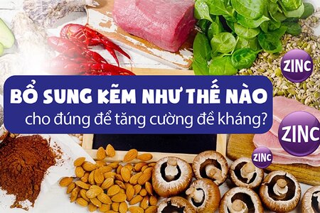 Bổ sung kẽm như thế nào cho đúng để tăng cường đề kháng?