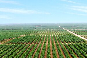 Tại sao nên đặc cách với Hoàng Anh Gia Lai? 