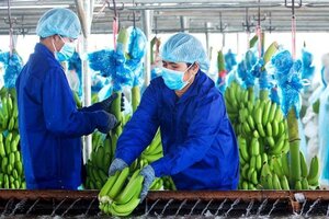 Xem xét hủy niêm yết HAG: Sự việc chưa có tiền lệ