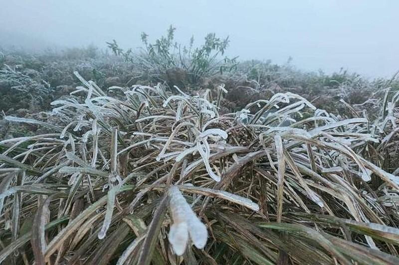 Hàng ngàn du khách lên đỉnh núi Mẫu Sơn để săn tuyết, ngắm băng giá