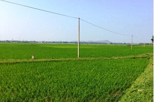 Đất thôn Hà Tĩnh đắt hơn cả đất Củ Chi