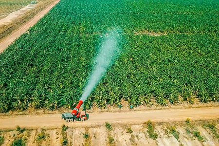 Hơn 40.000 tỷ đồng được tỷ phú Trần Bá dương đổ vào HAGL Agrico