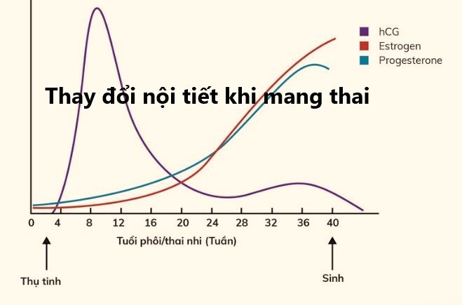 que thử thai mờ 