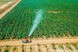 Hơn 40.000 tỷ đồng được tỷ phú Trần Bá dương đổ vào HAGL Agrico