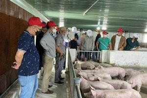 Cổ phiếu Hoàng Anh Gia Lai tăng trần, khối lượng giao dịch tăng đột biến