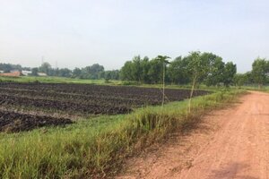 Giá đất Củ Chi tăng chóng mặt