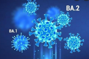 TP.HCM: Biến chủng Omicron 'tàng hình' chiếm ưu thế, tốc độ lây lan nhanh