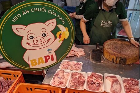 Heo ăn chuối Bapi của HAGL cháy hàng sau 120 phút mở bán